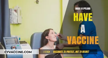 H. Pylori Vaccine: Current Research and Future Possibilities Explored