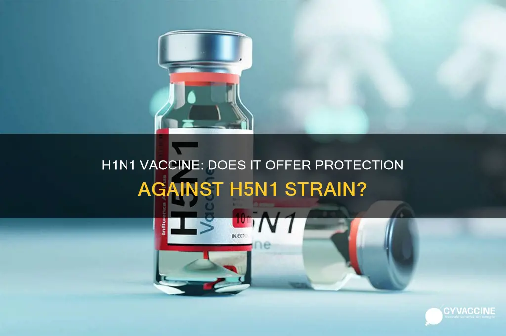 does h1n1 vaccine protect against h5n1