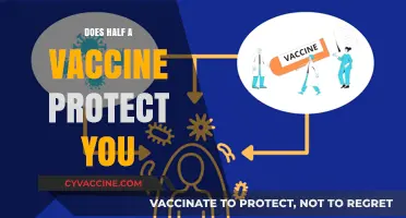 Half Dose, Full Protection? Exploring Partial Vaccine Immunity