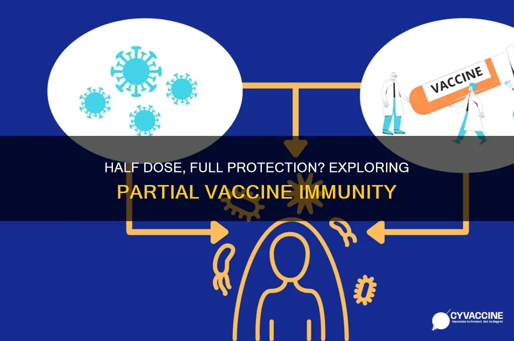 does half a vaccine protect you