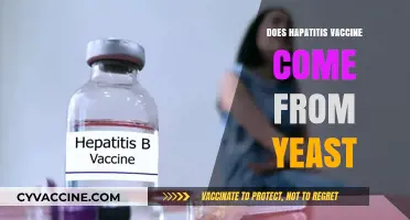 Hepatitis Vaccine and Yeast: Unraveling the Connection and Production Process