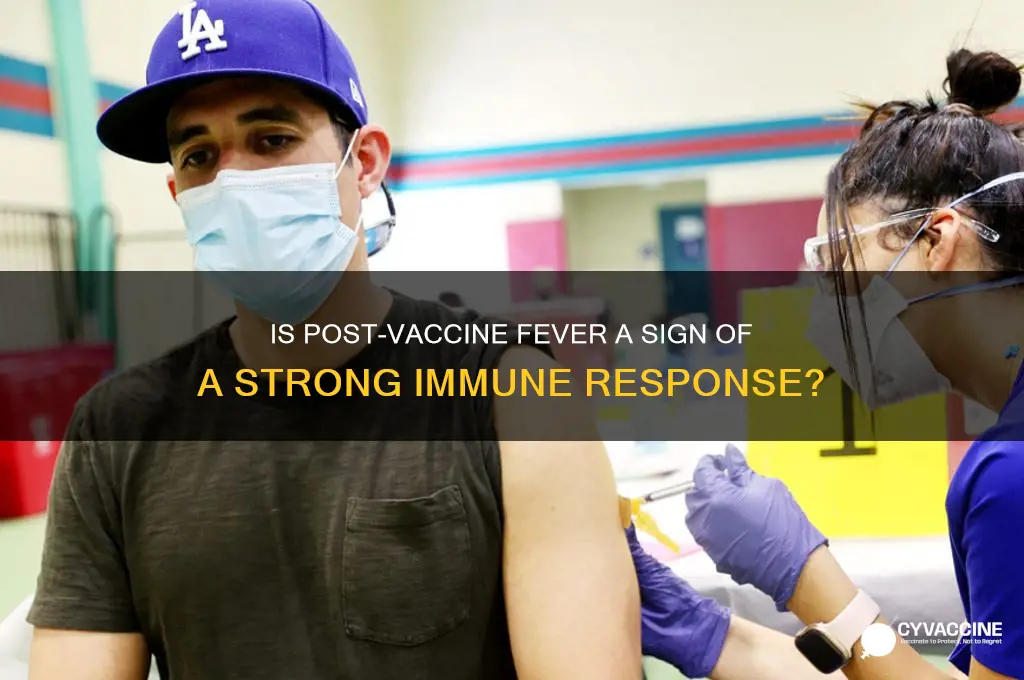 does having fever after vaccine good