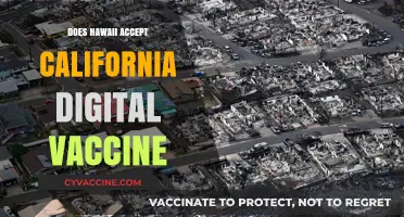 Hawaii's Vaccine Verification: Does It Accept California's Digital Proof?
