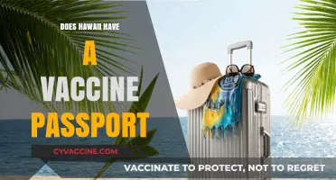 Hawaii's Vaccine Passport: What Travelers Need to Know