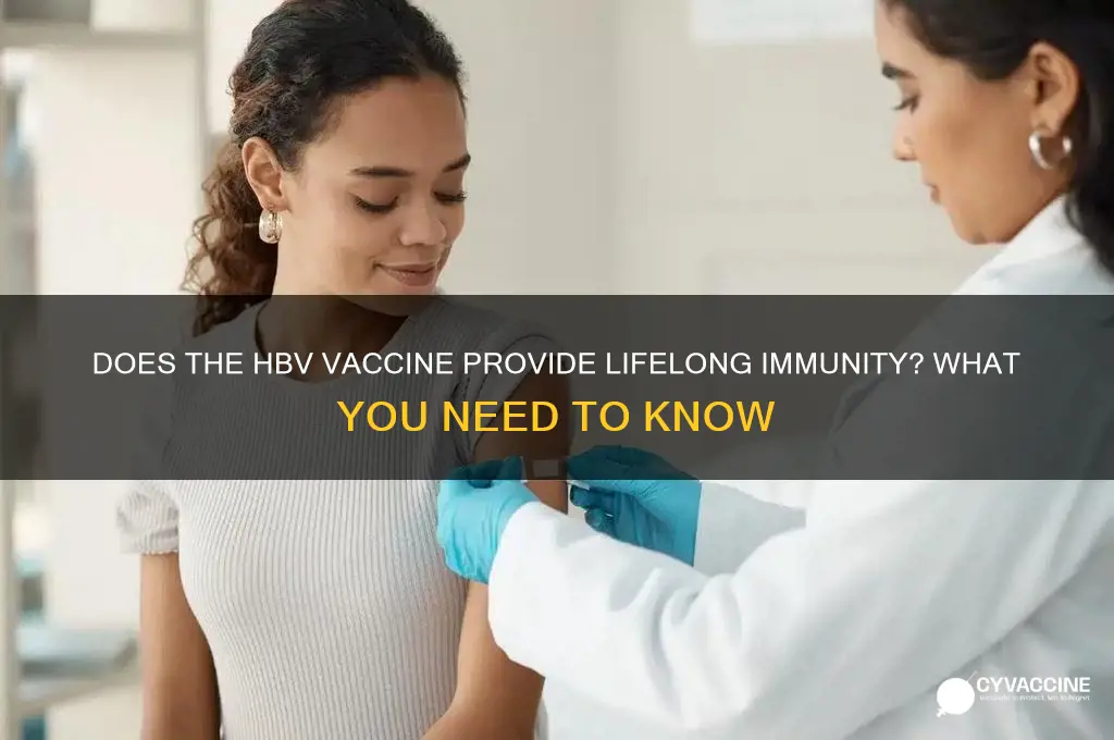 does hbv vaccine last for life