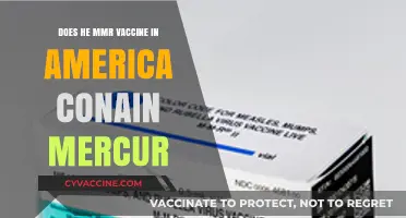 MMR Vaccine: Mercury-Free in America?
