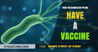 Helicobacter Pylori Vaccine: Current Status and Future Prospects