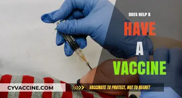 Does Help B Have a Vaccine? Exploring the Facts and Updates