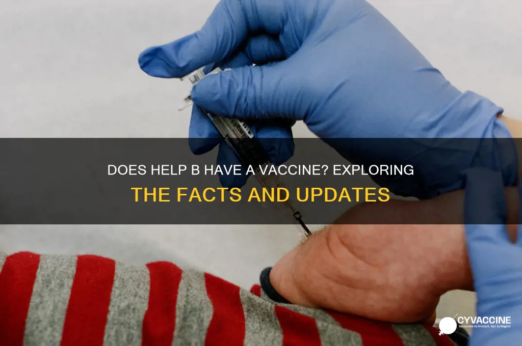 does help b have a vaccine