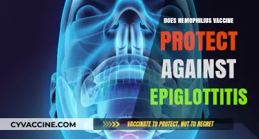 Hemophilus Vaccine: Effective Protection Against Epiglottitis Explained