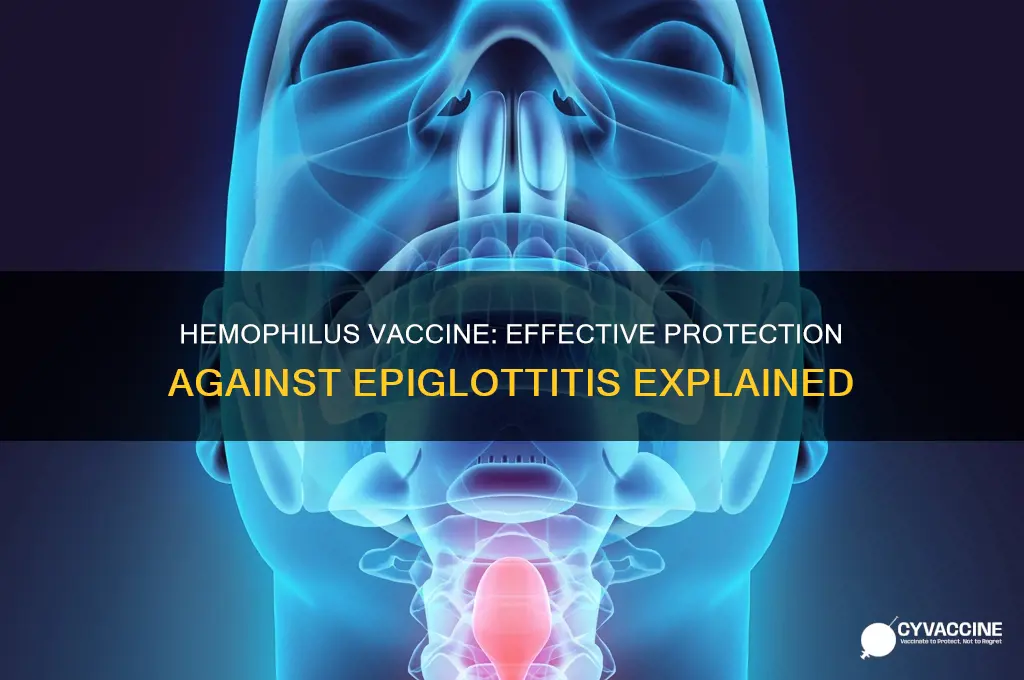does hemophilius vaccine protect against epiglottitis