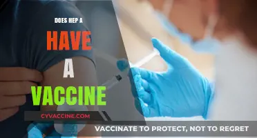 Hepatitis A Vaccine: Availability, Effectiveness, and Importance Explained