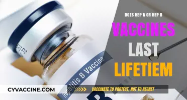 Hepatitis A and B Vaccines: Do They Last Forever?
