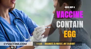 Hepatitis A Vaccine and Egg Allergies: What You Need to Know
