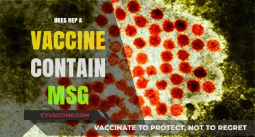 Does the Hepatitis A Vaccine Contain MSG? Facts Revealed