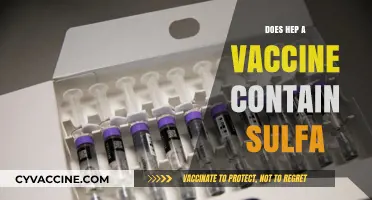 Does the Hepatitis A Vaccine Contain Sulfa? Facts and Safety