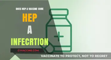 Hep A Vaccine: Can It Cure Hep A Infection?