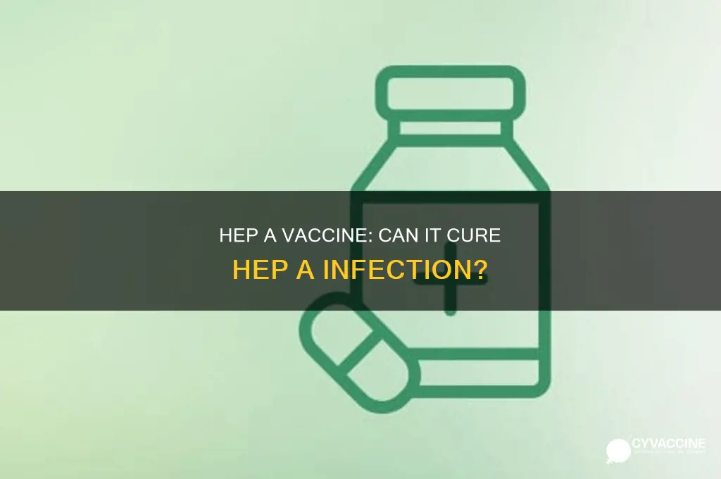 does hep a vaccine cure hep a infecrtion