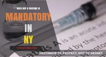 Hep A Vaccine: NY's Mandate Explained