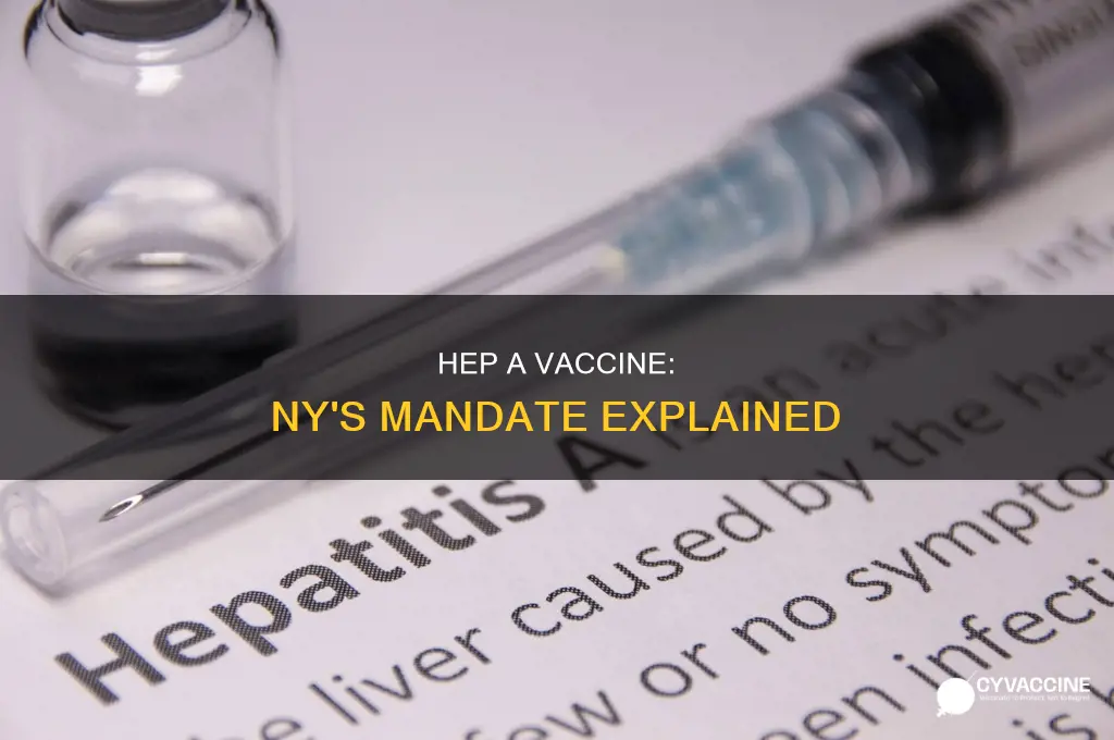 does hep a vaccine is mandatory in ny