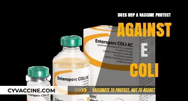 Hep A Vaccine: E. coli Protection?