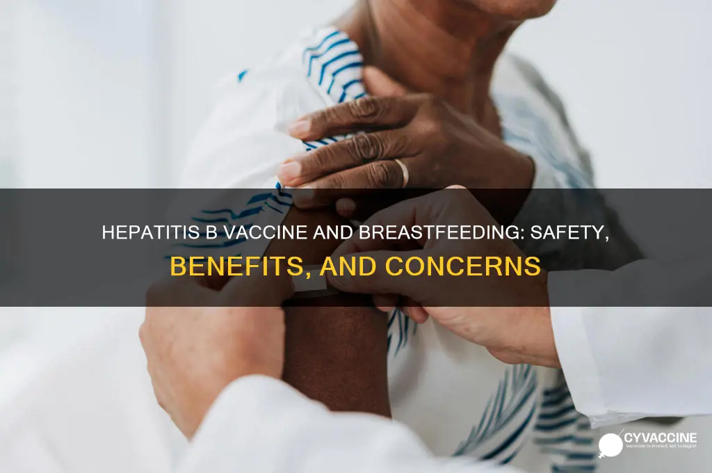 does hep b vaccine affect breastfeeding
