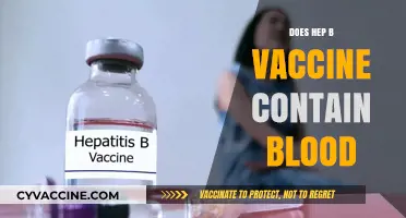 Hepatitis B Vaccine: Blood-Free Composition and Safety Explained