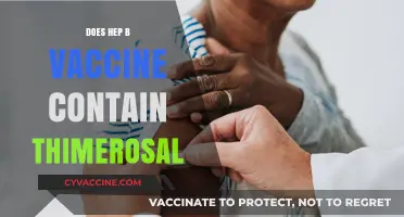 Does the Hepatitis B Vaccine Contain Thimerosal? Facts Revealed