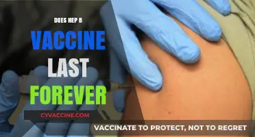 Hepatitis B Vaccine Longevity: Does Immunity Last a Lifetime?