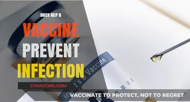 Hepatitis B Vaccine: Does It Effectively Prevent Infection?
