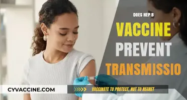 Hepatitis B Vaccine: Does It Prevent Transmission Effectively?