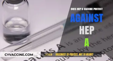 Hep B Vaccine: Protection Against Hep A?