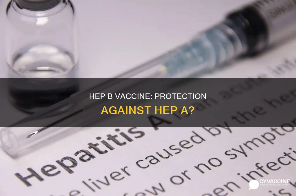 does hep b vaccine protect against hep a