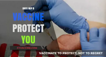 Hepatitis B Vaccine: Does It Offer Full Protection Against Infection?