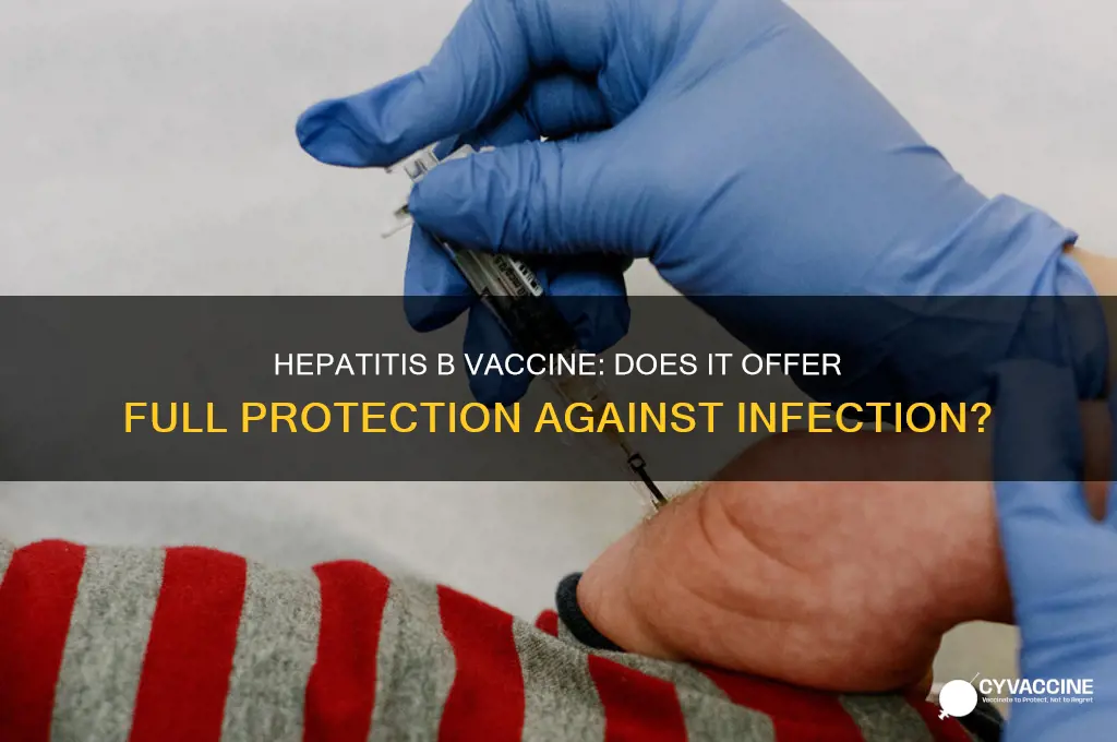 does hep b vaccine protect you