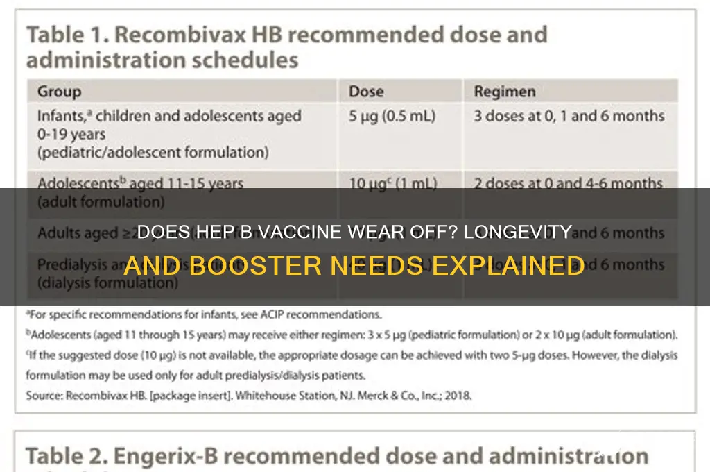 does hep b vaccine wear off