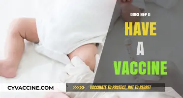 Hepatitis D Vaccine: Availability, Prevention, and Current Treatment Options