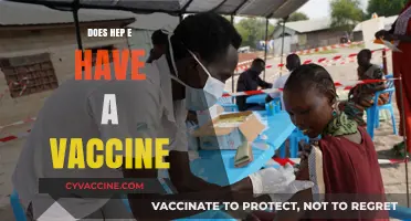 Hepatitis E Vaccine: Availability, Effectiveness, and Prevention Explained