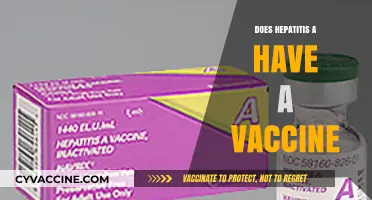 Hepatitis A Vaccine: Availability, Effectiveness, and Prevention Explained