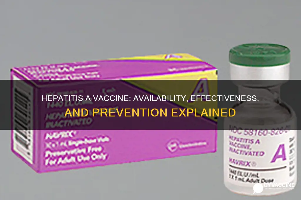 does hepatitis a have a vaccine