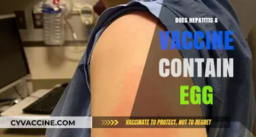 Hepatitis A Vaccine and Egg Allergies: What You Need to Know