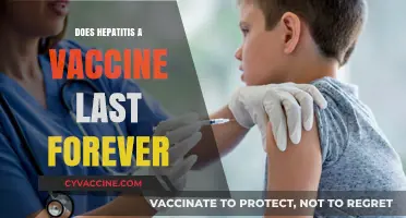 Hepatitis A Vaccine: Lifelong Immunity or Periodic Booster Needed?