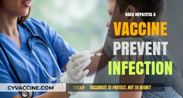 Hepatitis A Vaccine: Does It Prevent Infection Effectively?