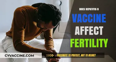 Hepatitis B Vaccine and Fertility: Separating Facts from Myths