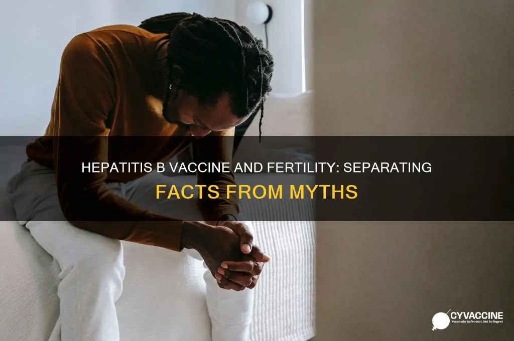 does hepatitis b vaccine affect fertility