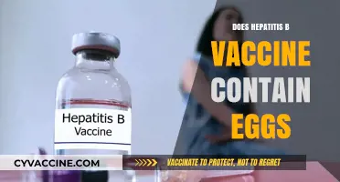 Hepatitis B Vaccine and Eggs: What You Need to Know