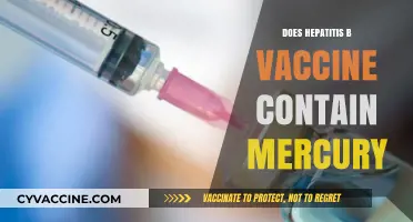 Hepatitis B Vaccine and Mercury: Separating Fact from Fiction
