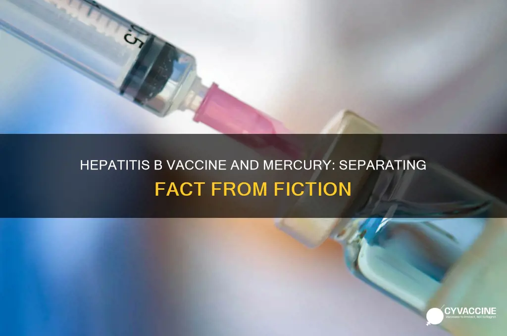 does hepatitis b vaccine contain mercury