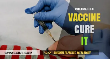 Hepatitis B Vaccine: Prevention, Not Cure, for Hepatitis B