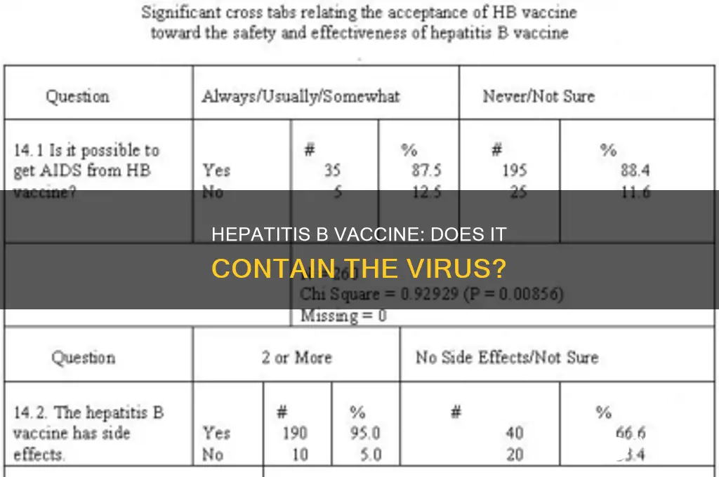 does hepatitis b vaccine have hepatitis b virus